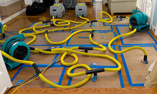 Professional Crawl Space Water Removal technician working in Cross Plains, TN